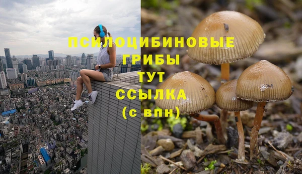 прущая мука Сафоново