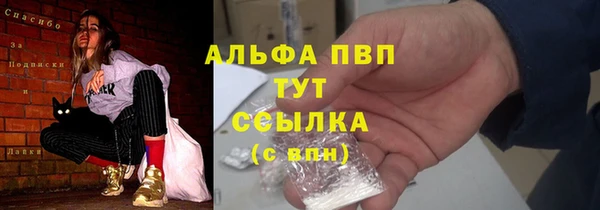 прущие грибы Волоколамск